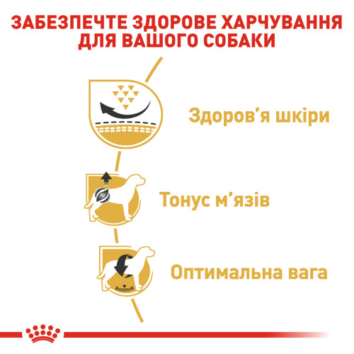 Сухий корм для дорослих собак породи Мопс ROYAL CANIN PUG ADULT (домашня птиця), 3 кг